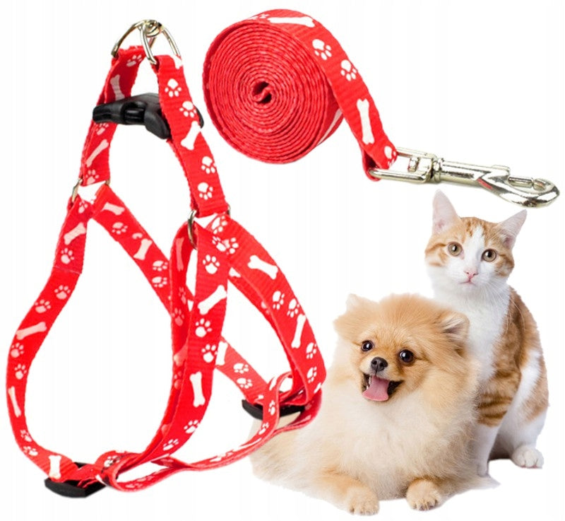 LEASH + HARNESS FOR CAT RABBIT COLLAR COLORS