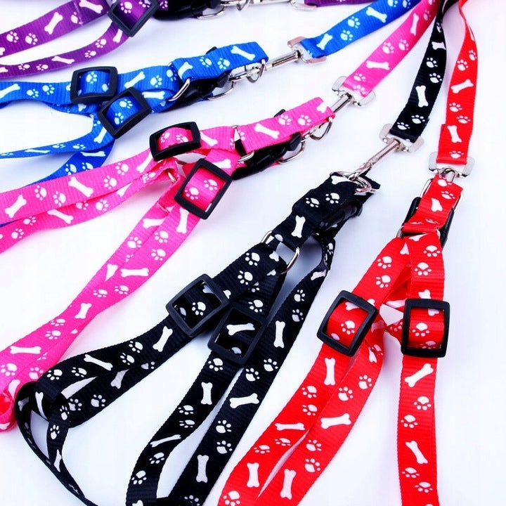 LEASH HARNESS WITH HARNESS FOR DOG CAT RABBIT YORKA LIGHT COLLAR COLORS Manufacturer code XJ3411