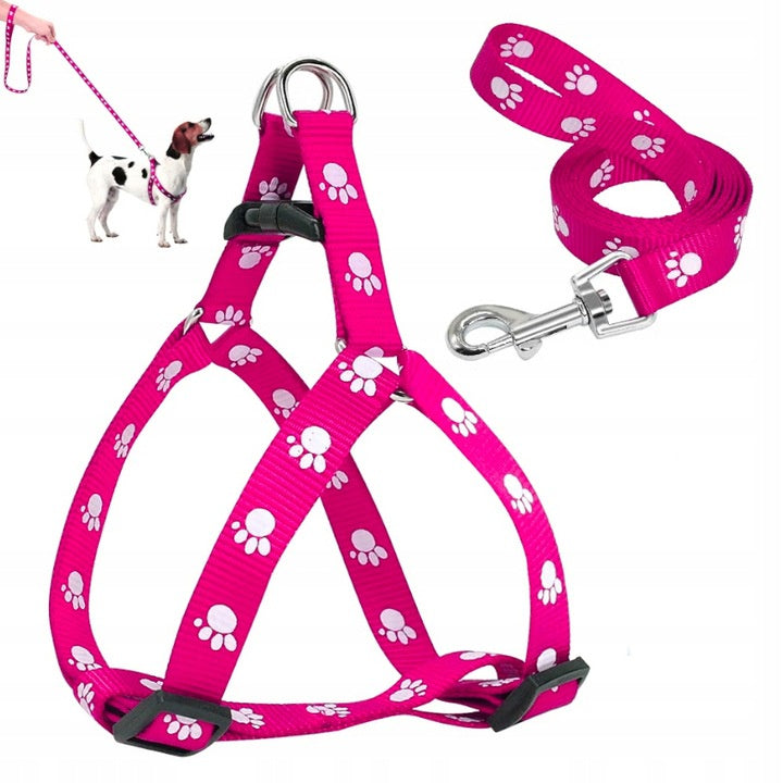 LEASH HARNESS WITH HARNESS FOR DOG CAT RABBIT YORKA LIGHT COLLAR COLORS
