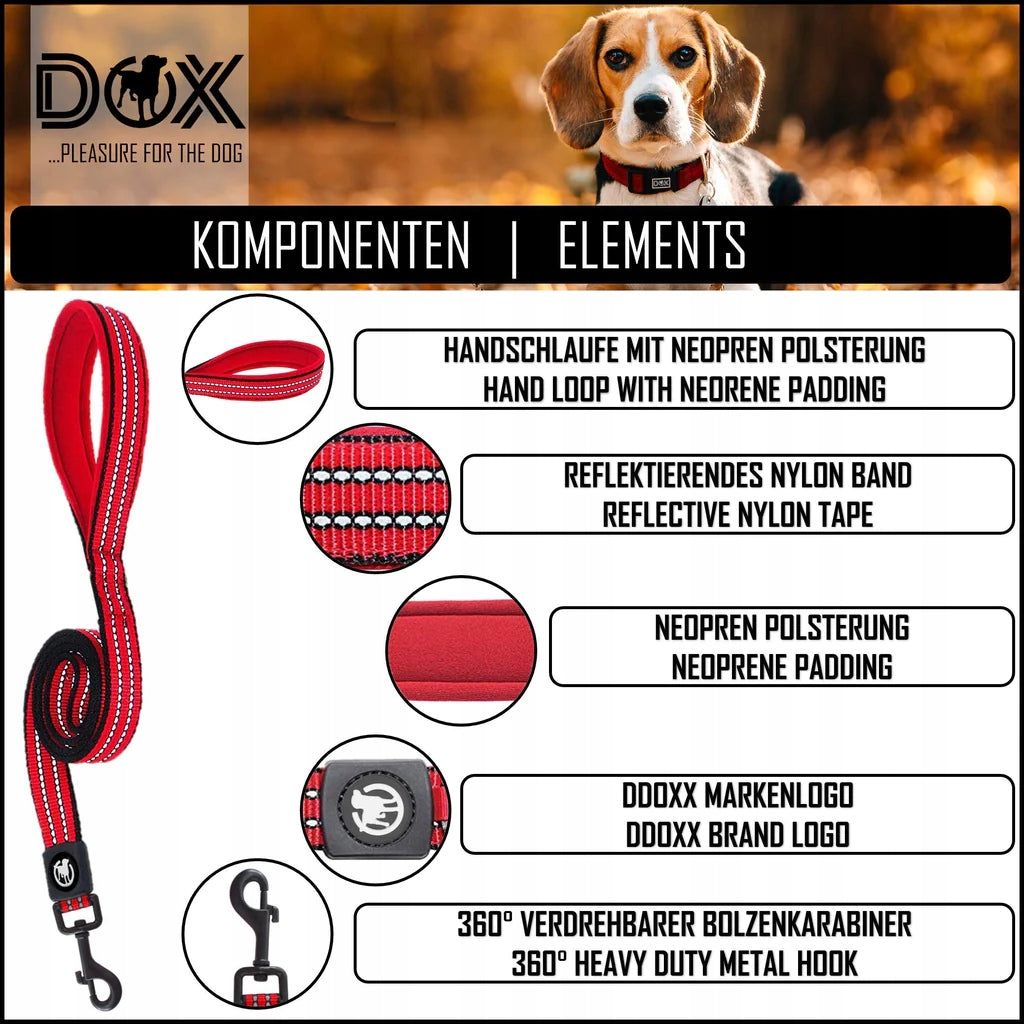 LEASH TRADITIONAL STRONG BLUE 150 CM K11 Brand Ddoxx