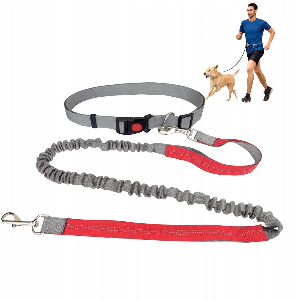 LEASH TRAINING HIP BELT FOR RUNNING WITH DOG ELASTIC STRONG 2,5M