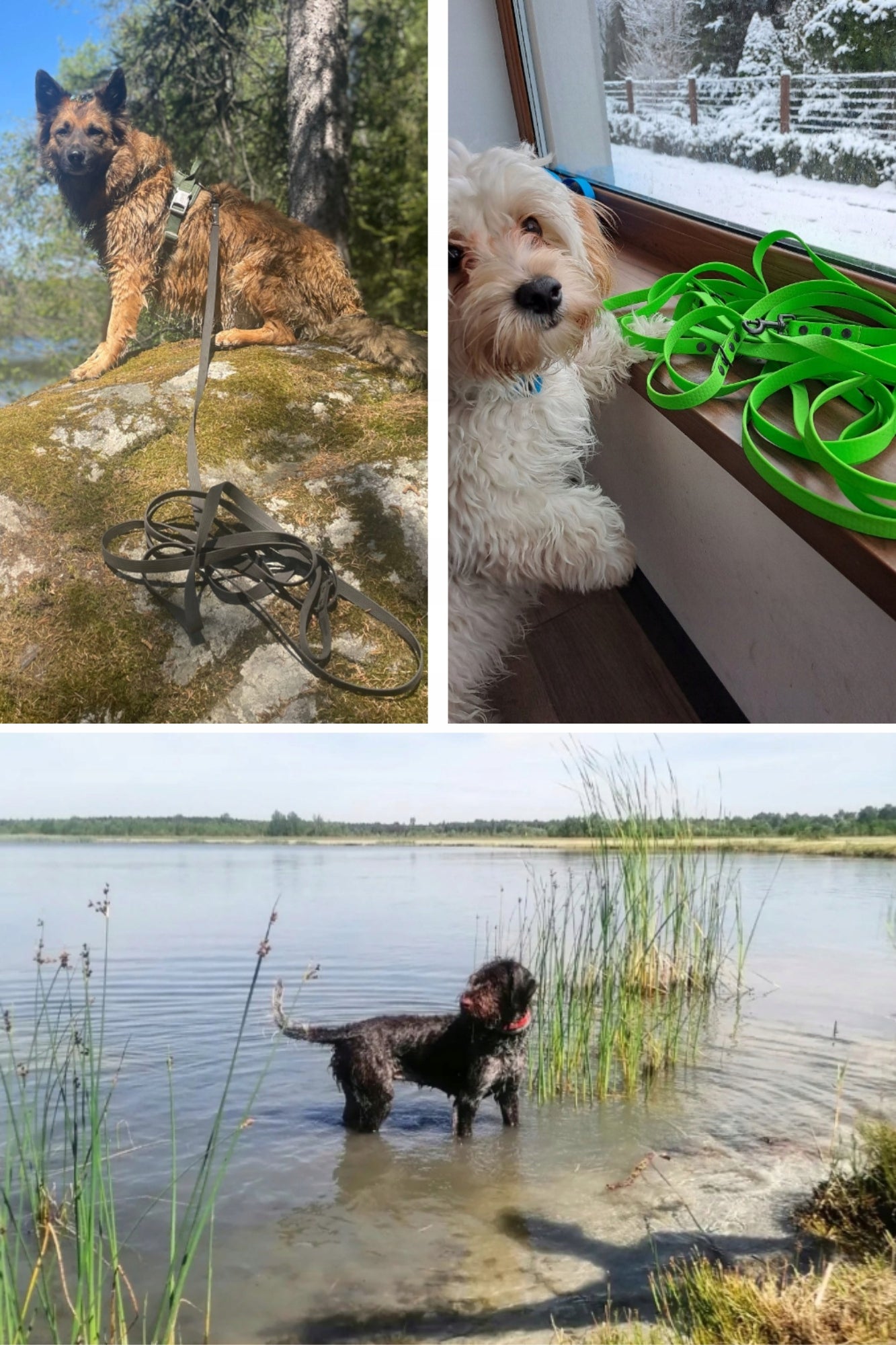 LEASH WATERPROOF SOFT URBAN FLEXIBLE SMALL DOG PVC ENGRAVING 3M 10MM Material PVC