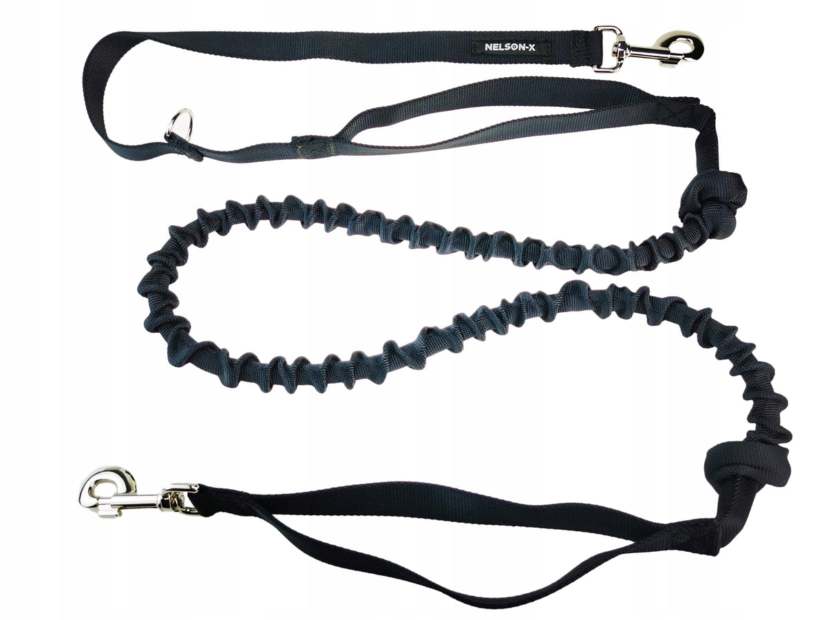 LEASH WITH SHOCK ABSORBER FOR DOG NELSON-X STRONG 2M WITH 2 HANDLE