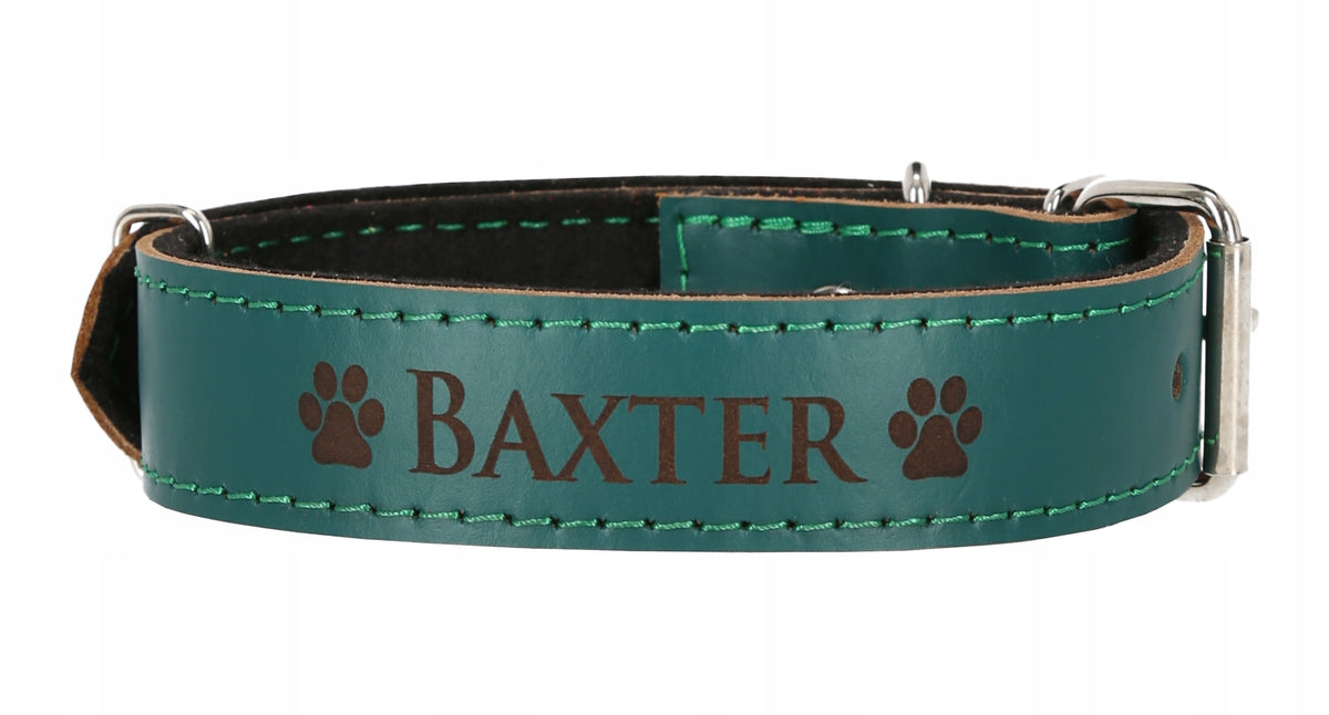 LEATHER COLLAR - 10 COLORS ENGRAVING 46-58cm