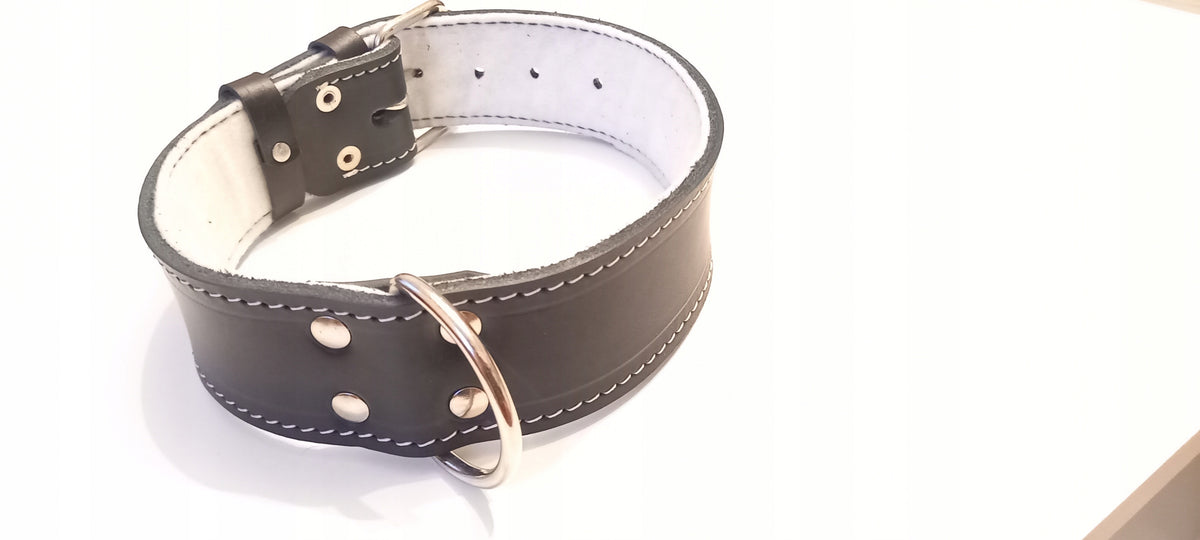 LEATHER COLLAR STRONG 4cm/55cm QUALITY!