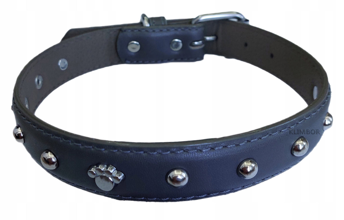 LEATHER DOG COLLAR DECORATIVE COLLAR STUDS, DZETY PITT BULL SIZE M