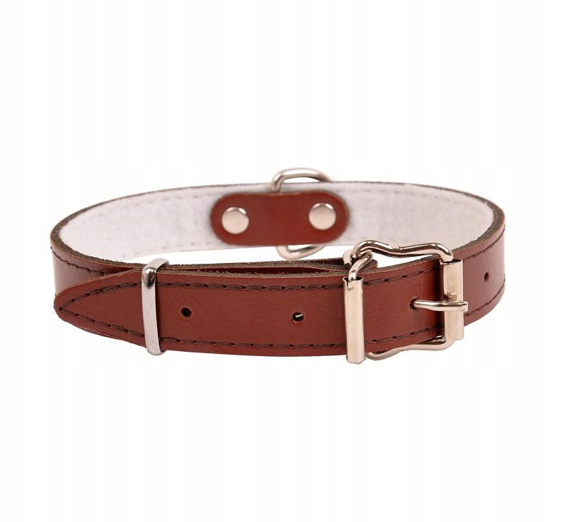 LEATHER DOG COLLAR LINED WITH FELT 30MM LENGTH 60CM BROWN