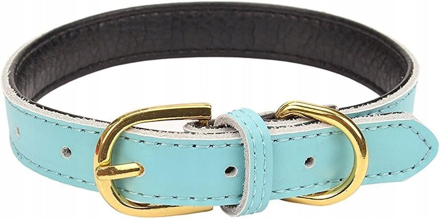 LEATHER DOG COLLAR SIZE L 54CM ADJUSTABLELIGHT BLUE PETWEEN