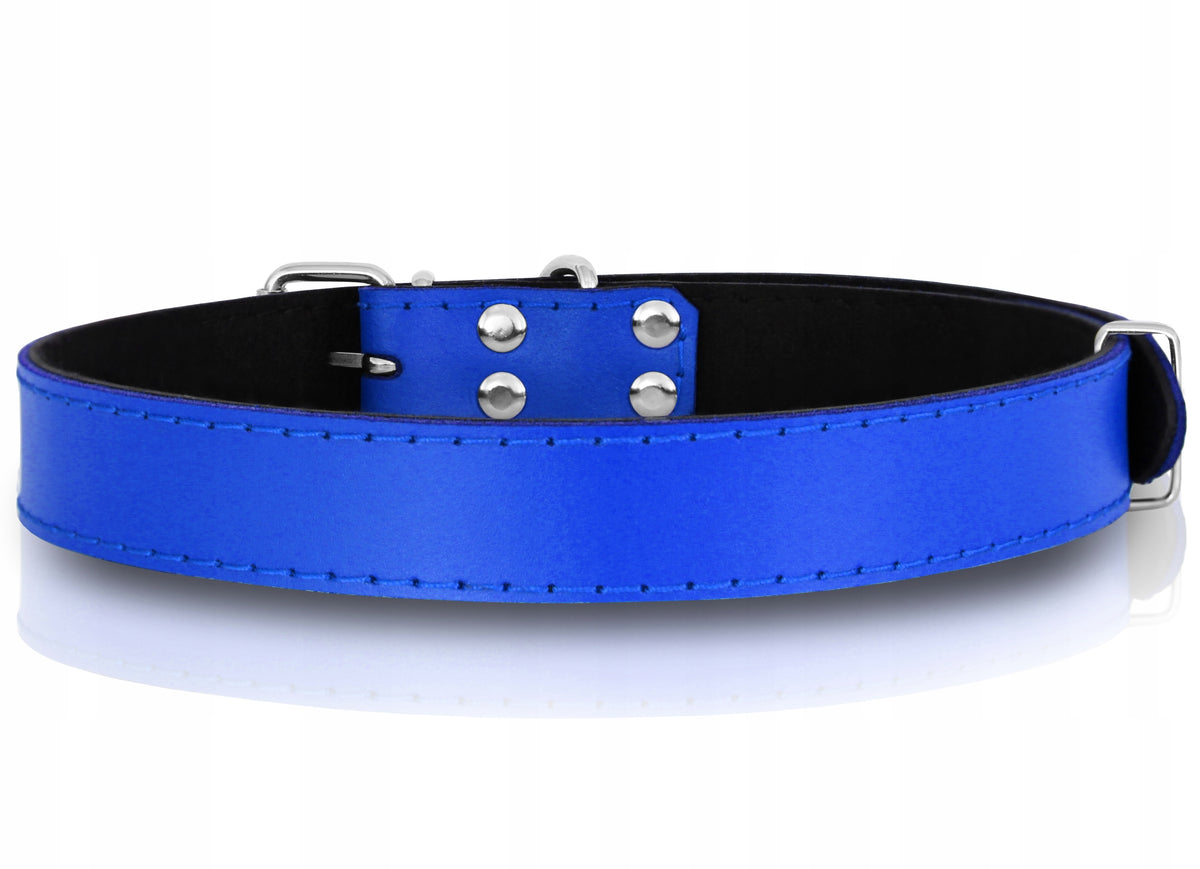 LEATHER DOG COLLAR WITH ENGRAVING 35-45 M Manufacturer code OBR-s07mblue