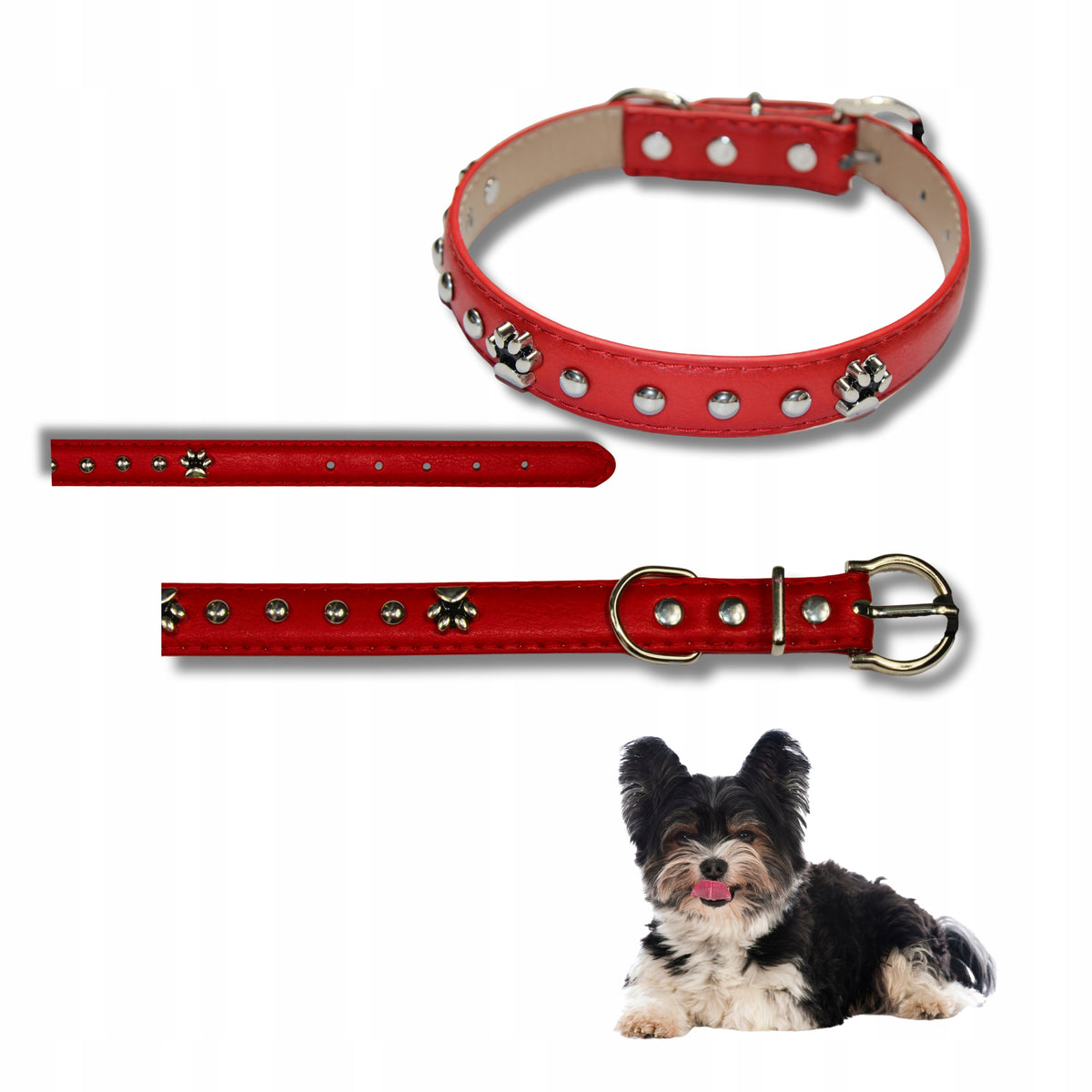LEATHER DOG COLLAR WITH STUDS AND PAW DIFFERENT COLORS 24-32 CM