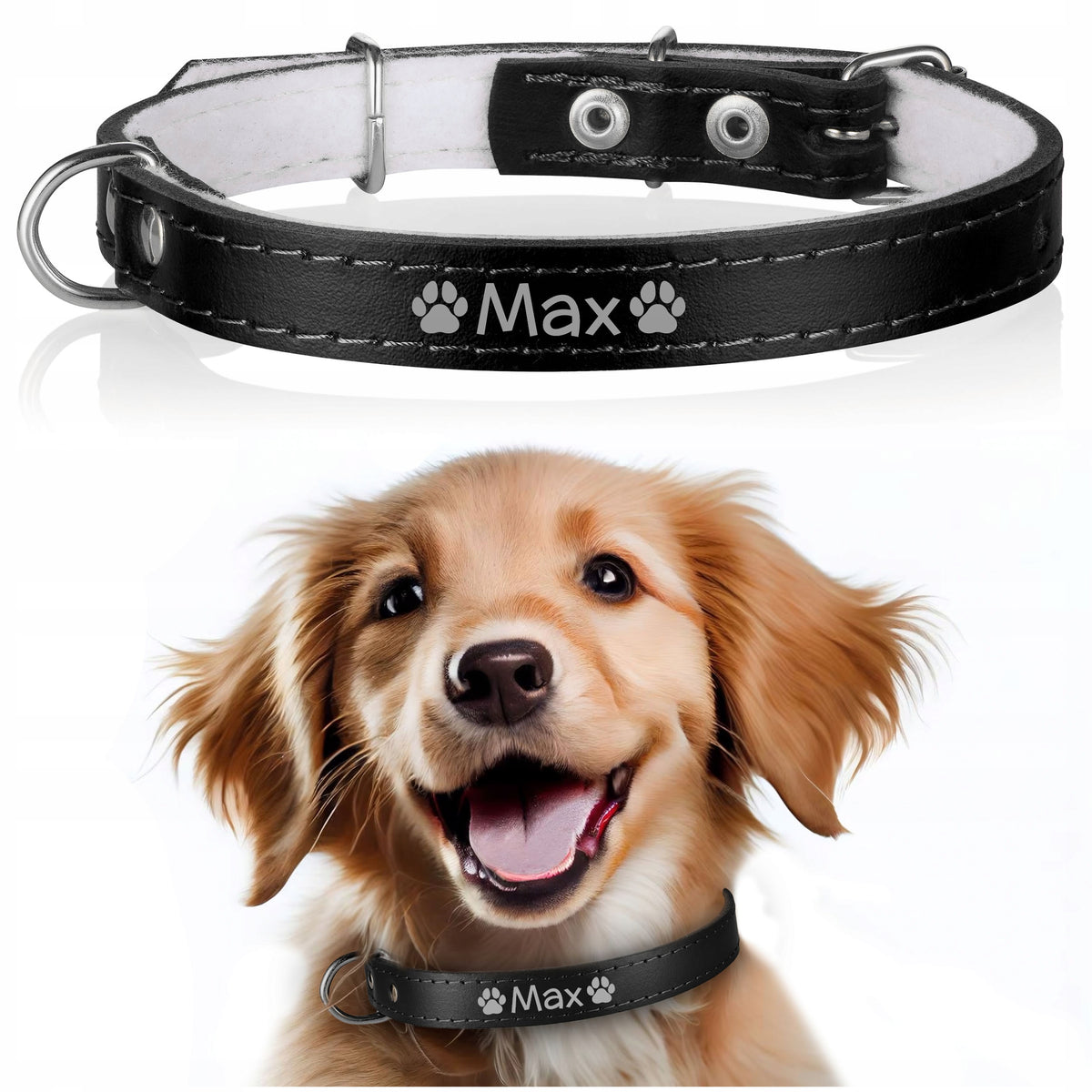 LEATHER dog collar FREEBIE engraving 10/30cm B1