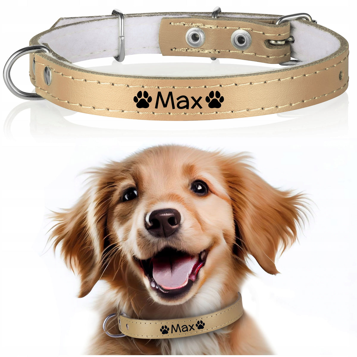 LEATHER dog collar FREEBIE engraving 14/40cm N3