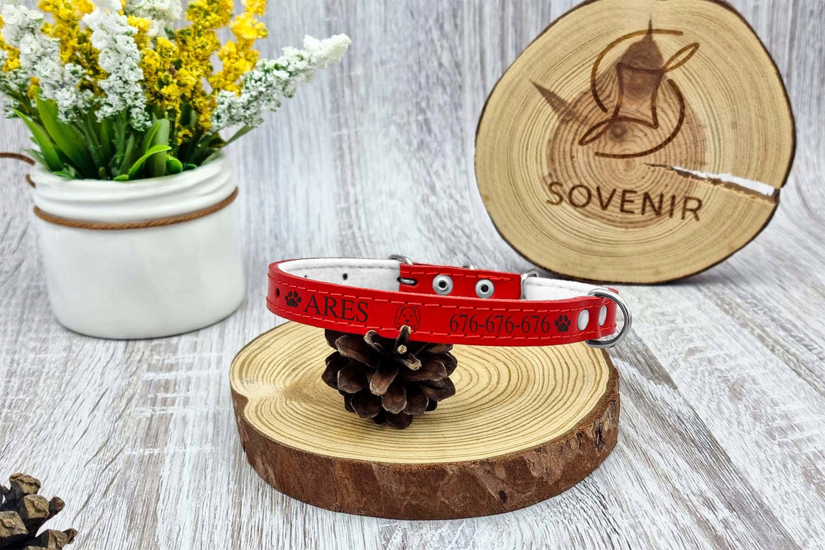 LEATHER dog collar FREEBIE engraving 14/40cm R3 Manufacturer code SOV-1314