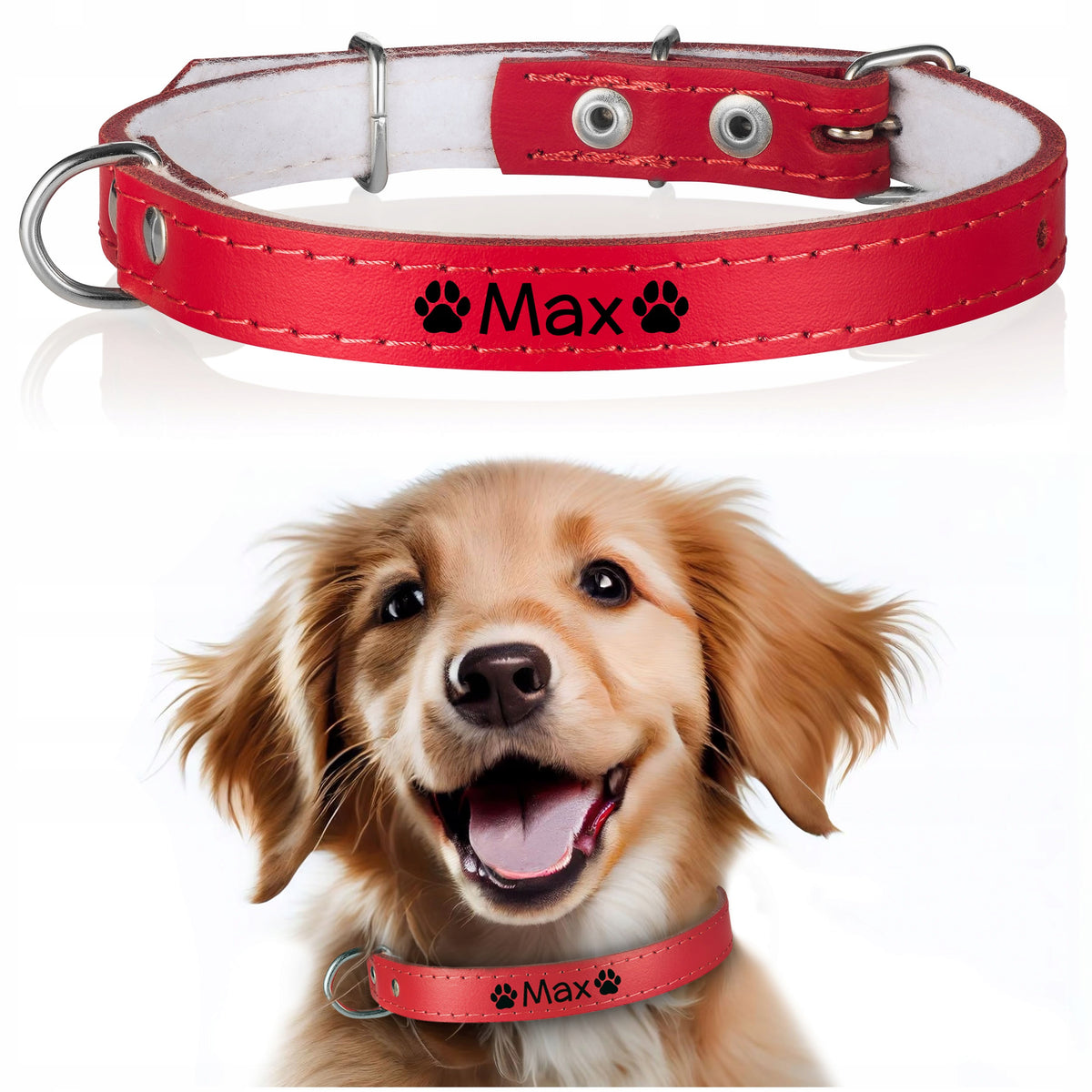 LEATHER dog collar FREEBIE engraving 14/40cm R3