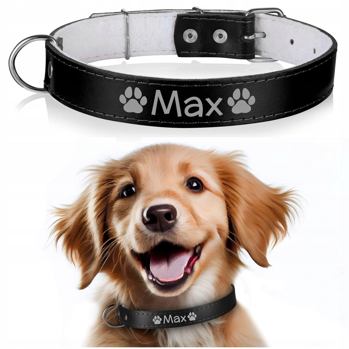 LEATHER dog collar FREEBIE engraving 25/65cm B8