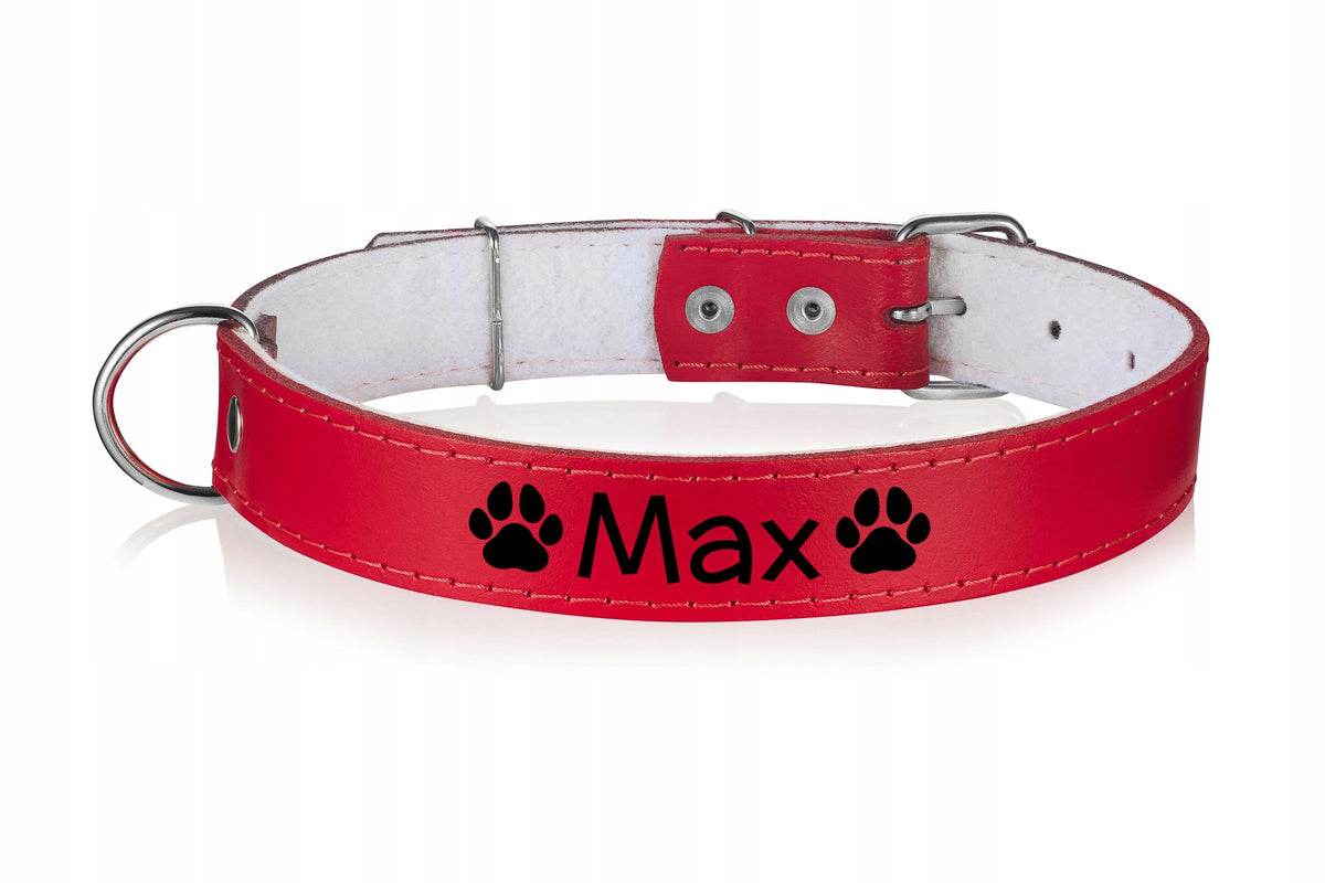 LEATHER dog collar FREEBIE engraving 25/65cm R8 Brand no brand