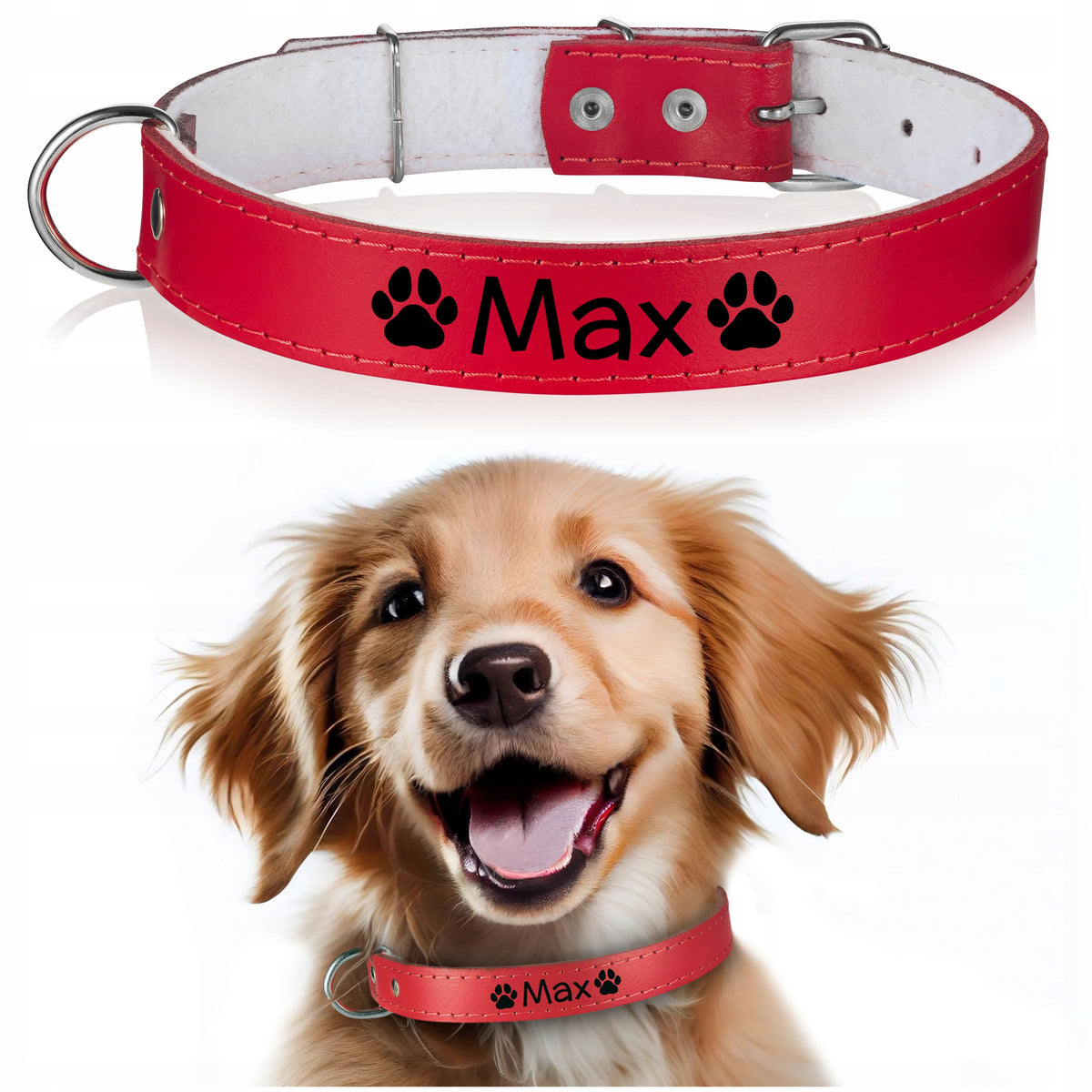 LEATHER dog collar FREEBIE engraving 25/65cm R8