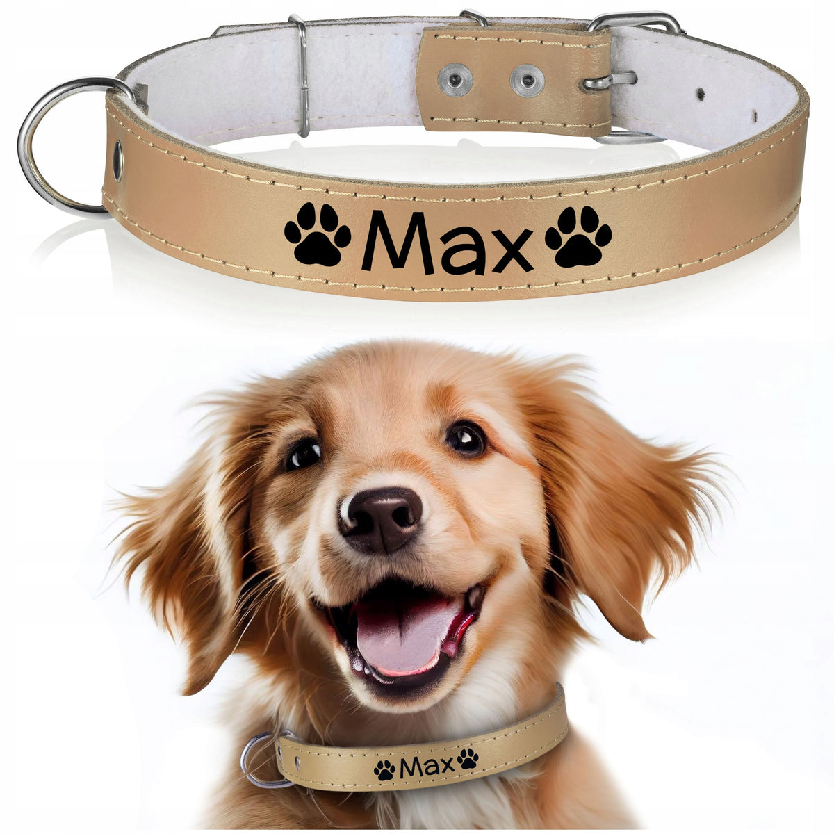 LEATHER dog collar FREEBIE engraving 30/70cm N9