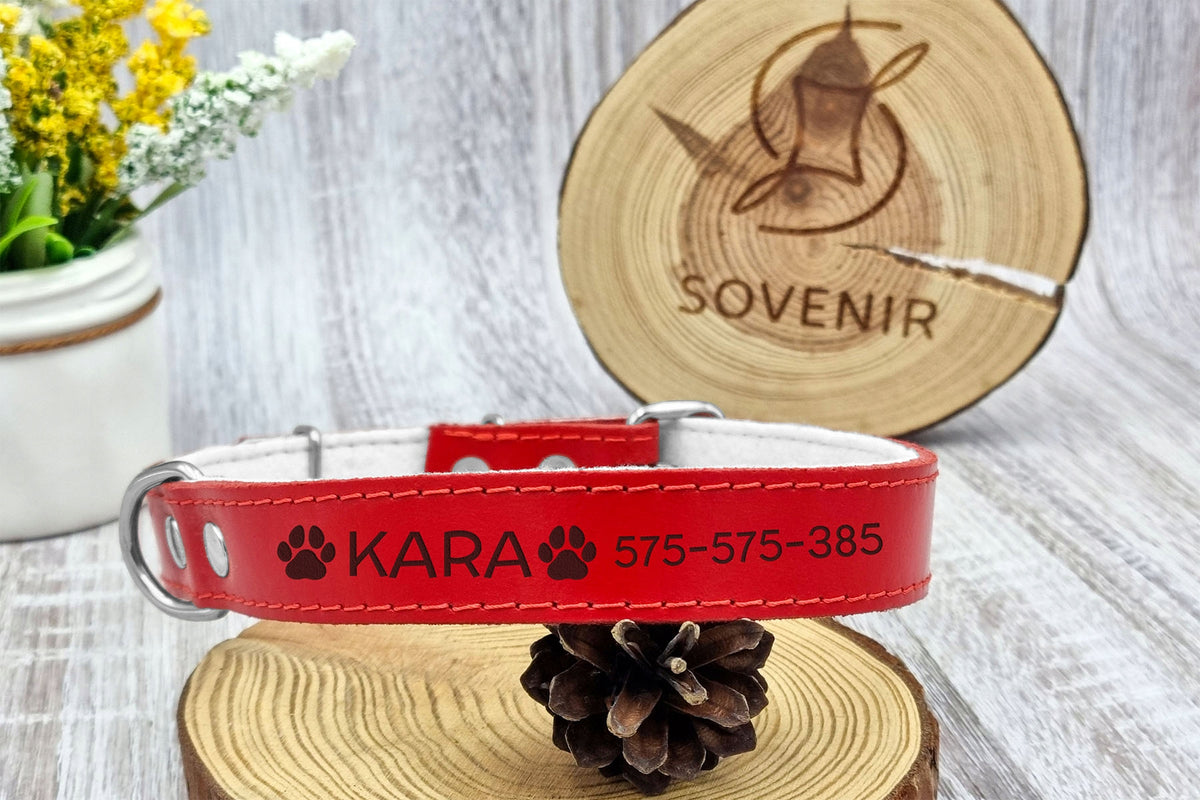 LEATHER dog collar FREEBIE engraving 30/70cm R9 Manufacturer code SOV-1396