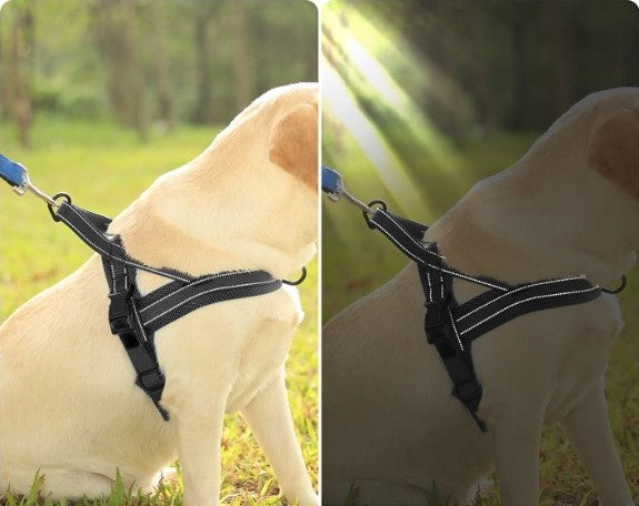 LED Backlit Dog Harness with Reflective Handle Size S Black Brand no brand