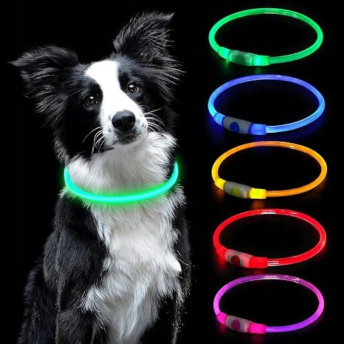LED DOG COLLAR GLOWING FLASHING USB RECHARGEABLE WATERPROOF SAFETY