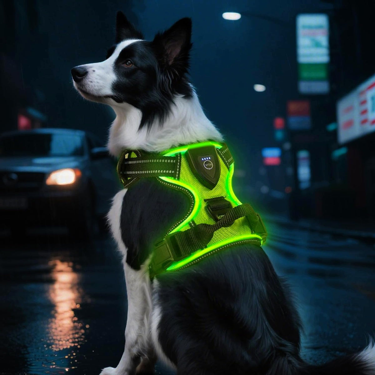 LED DOG HARNESS ILLUMINATED WITH 3 LIGHTING MODES GREEN