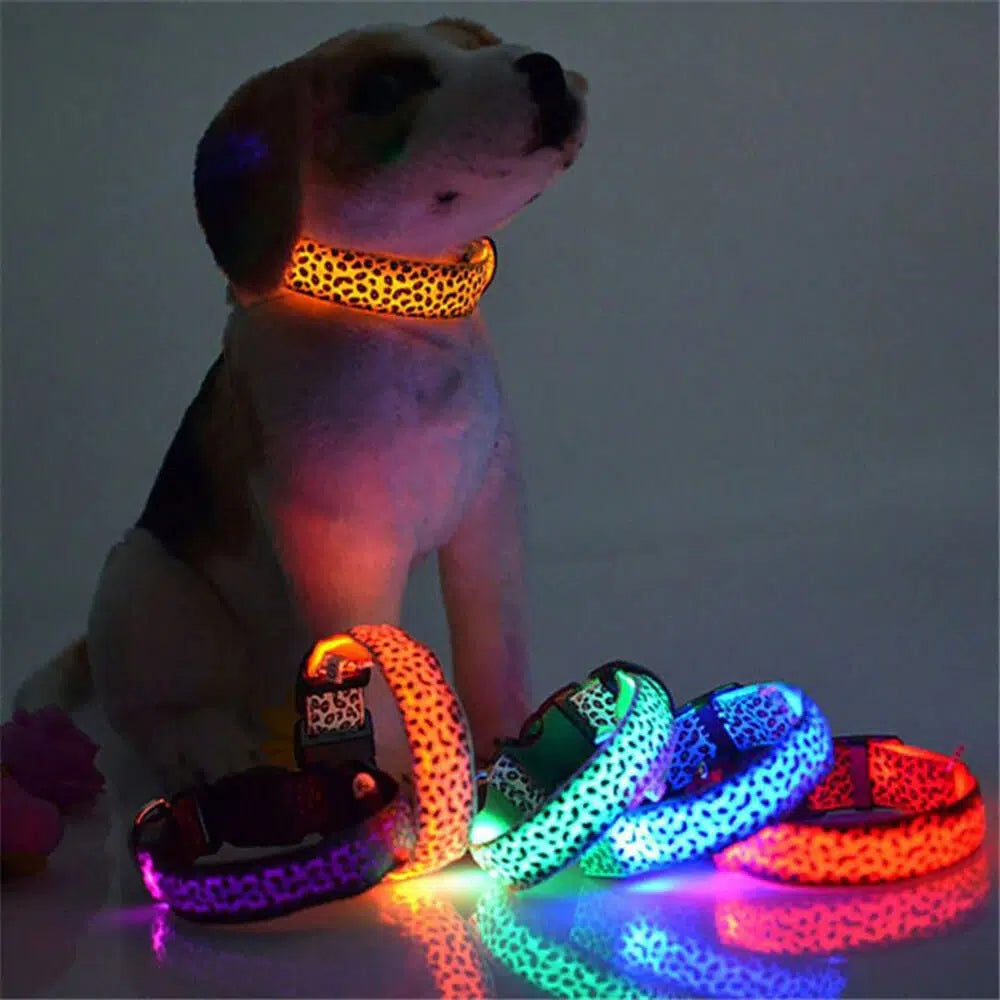 LED Dog Collar CHEETAH Red L Battery Operated Brand Petinio