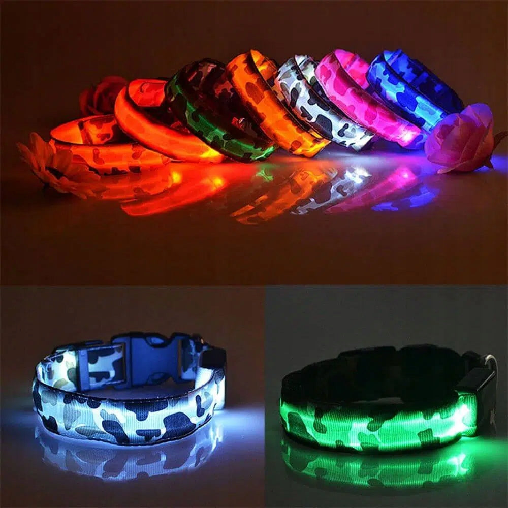 LED Dog Collar MORO M Pink BATTERY OPERATED Manufacturer code COLMOROPK-M