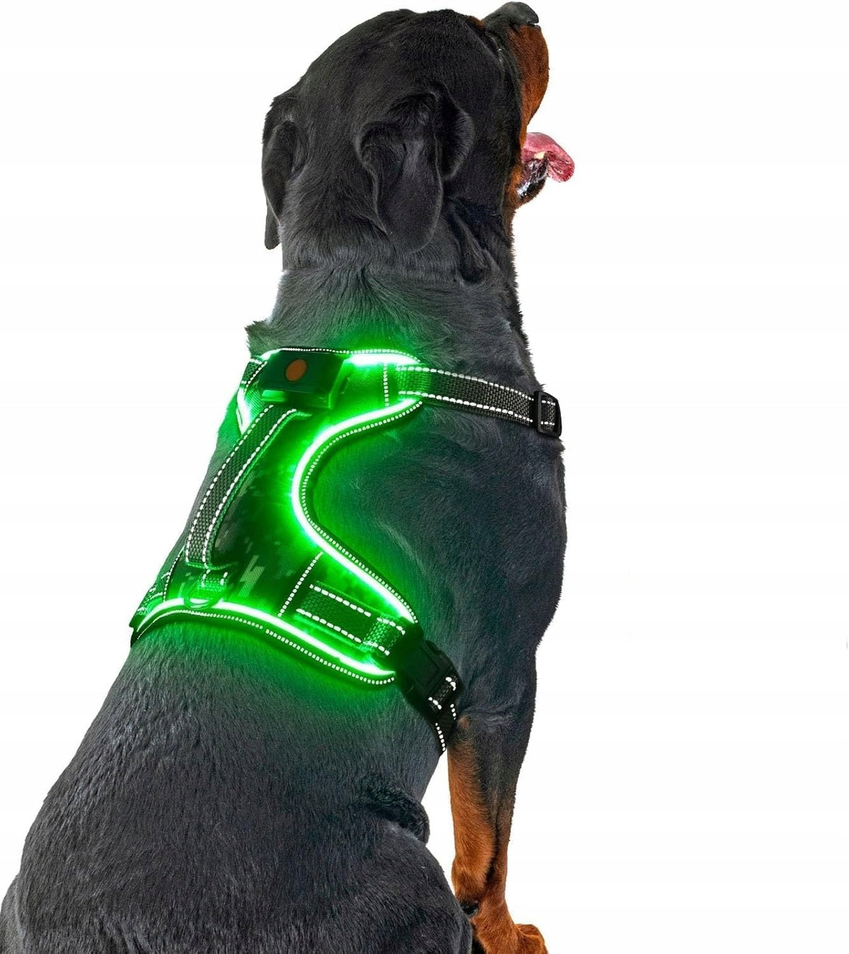 LED Dog Harness S, Reflective, Adjustable, with Handle, Green