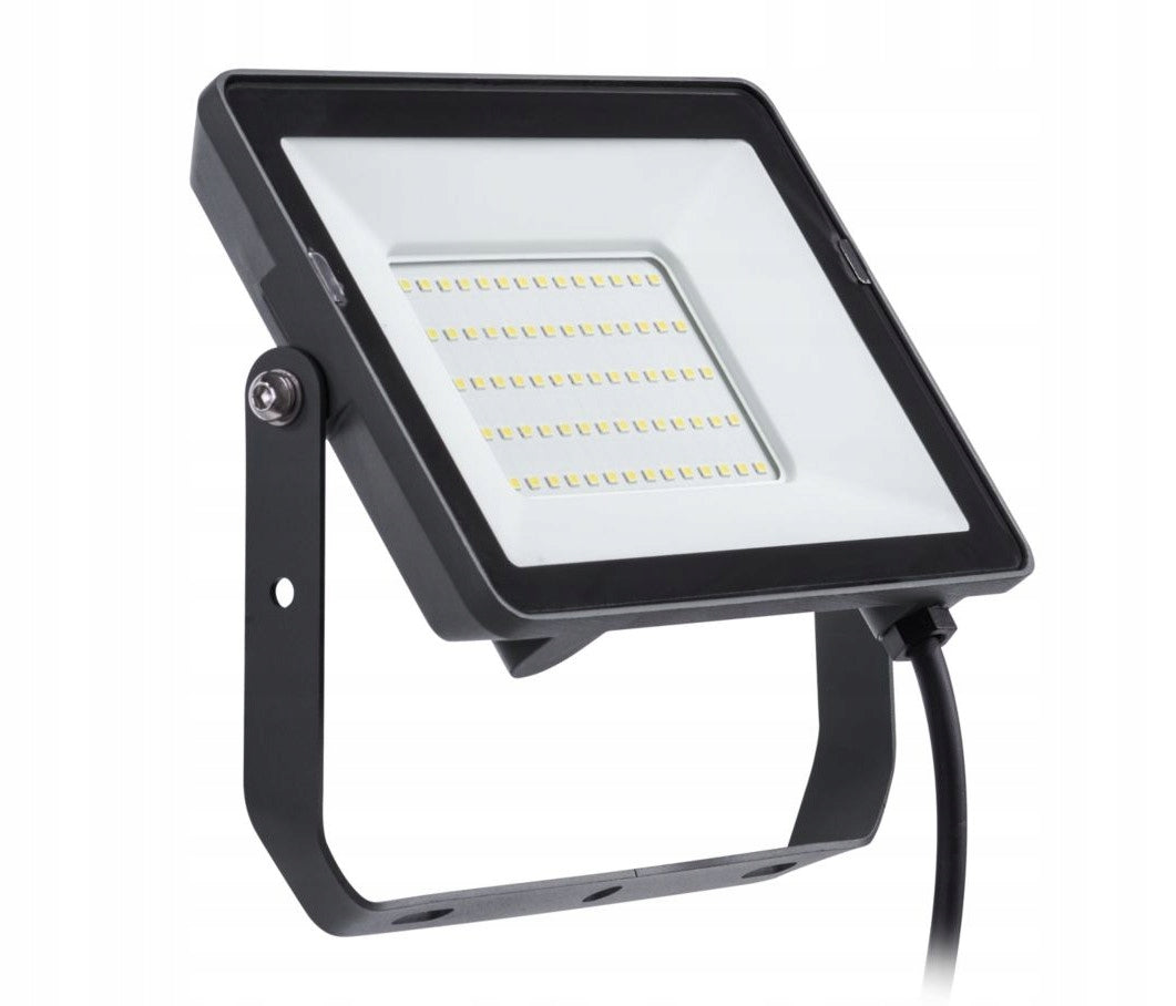 LED Floodlight 50W 3000K IP65 Halogen Headlight Lamp PHILIPS