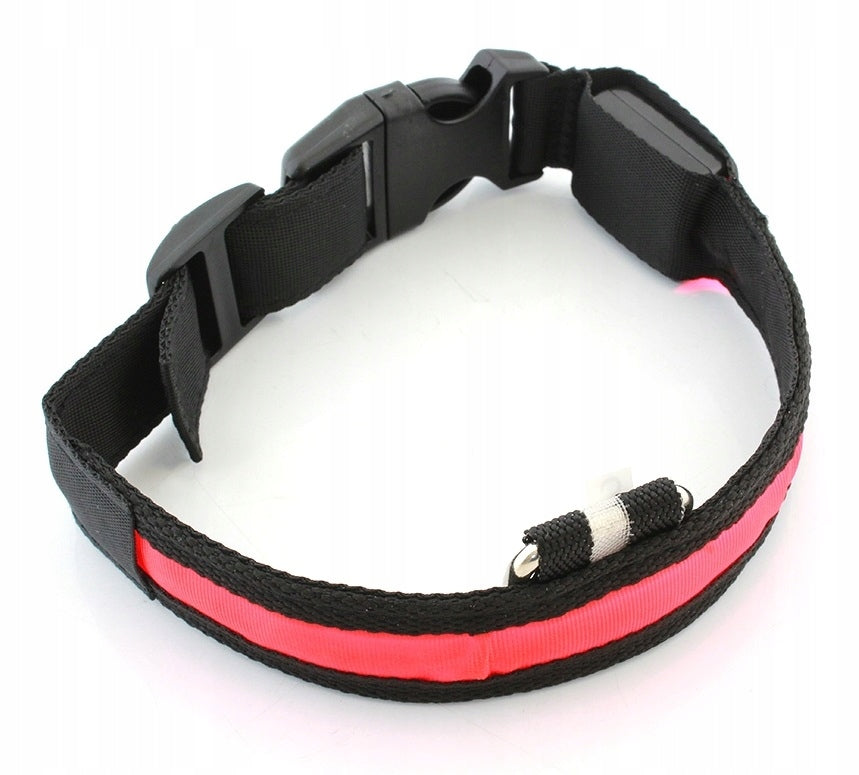 LED GLOW COLLAR 35-42CM RED for DOG (4982)