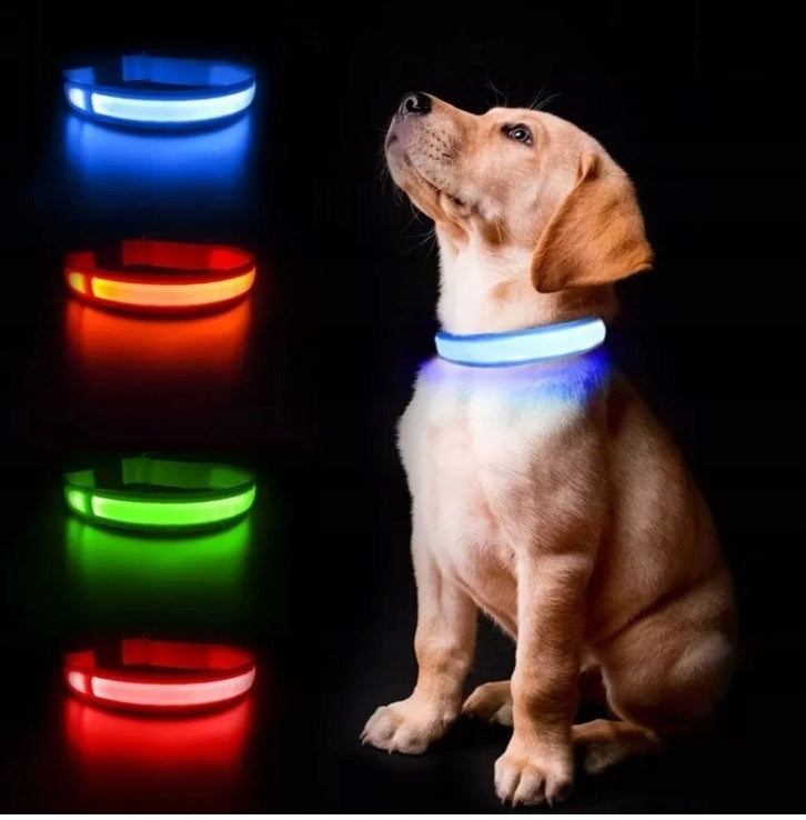 LED GLOWING COLLAR FOR CAT DOG WEBBING COLORS L Packaging status original