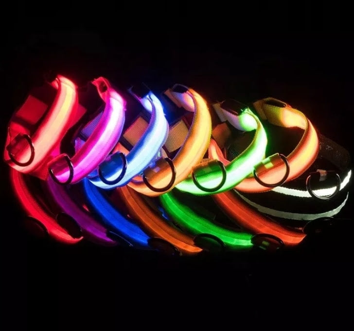 LED GLOWING COLLAR FOR CAT DOG WEBBING COLORS Packaging status original