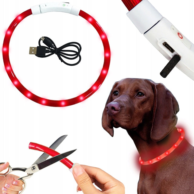 LED LIGHTING COLLAR FOR DOG CAT ADJUSTABLE USB waterproof walk night winter