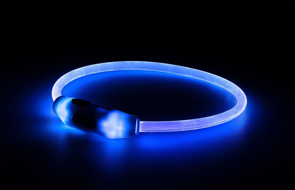 LED collar blue S 40cm