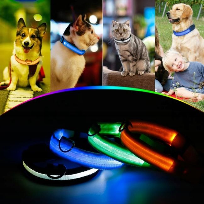 LED collar r.M-46cm adjustable glowing orange Brand 7&7