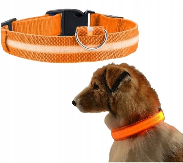 LED collar r.M-46cm adjustable glowing orange