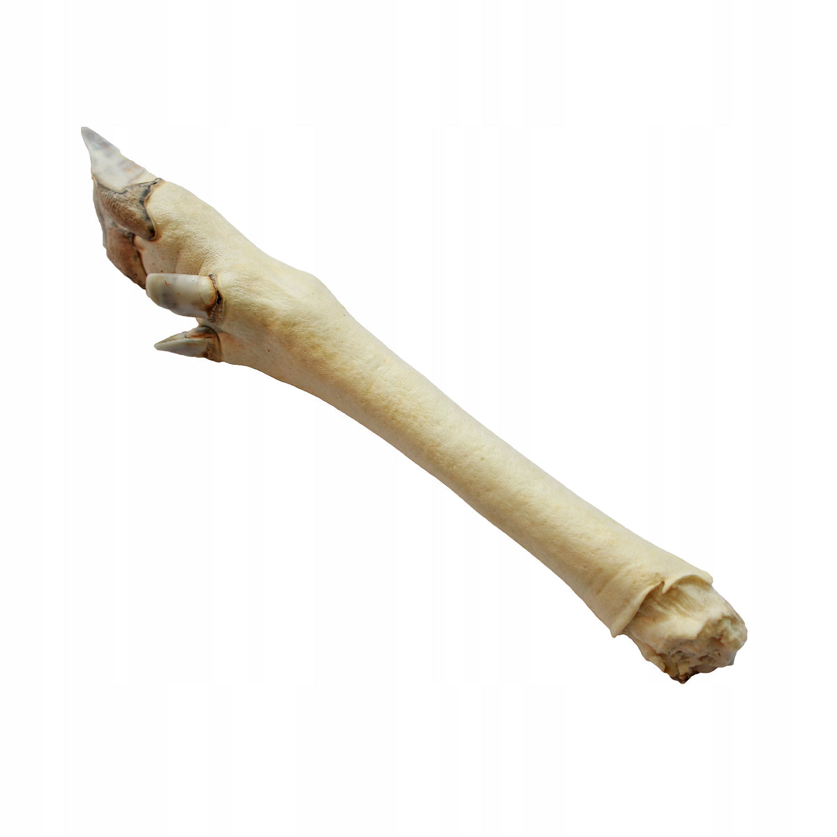 LEG DEER - 1 pcs DOG TEETHER Manufacturer code G242