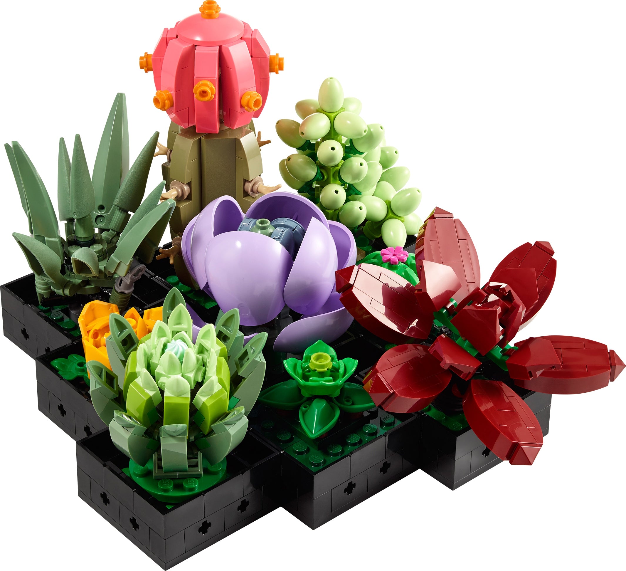 LEGO Botanicals 10309 Succulents Packaging status original