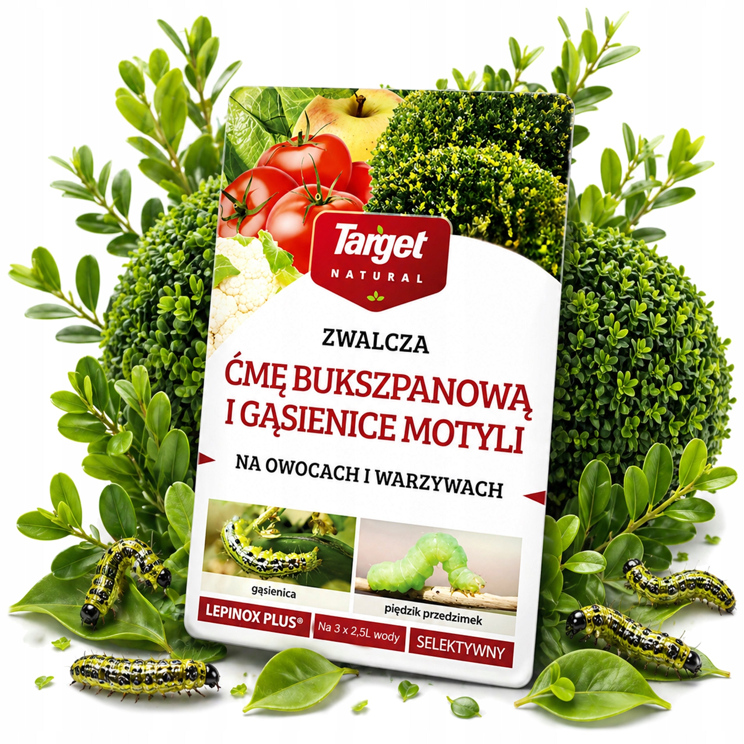 LEPINOX BOX MOTH FIGHTS CATERPILLARS MOTH REMEDY SPRAYING 3x5g Manufacturer code Target Lepinox na ćmę bukszpanową 3x5g