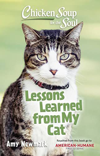 Hühnersuppe für die Seele: Was ich von meiner Katze gelernt habe: 101 Geschichten über Freundschaft und Spaß 
