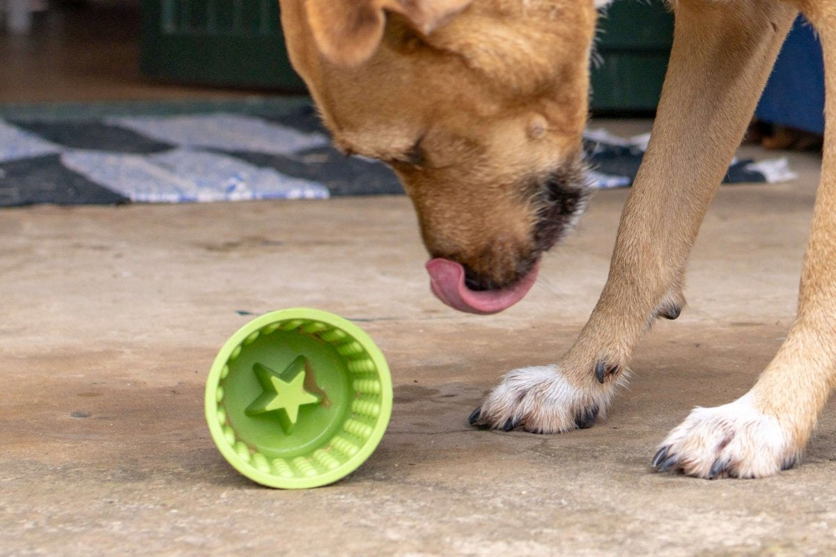 LICKING TRAY MAT FOR DOG CAT ANTI-STRESS LICKIMAT YOGGIE POT 9,5x9cm Capacity 0.25 l