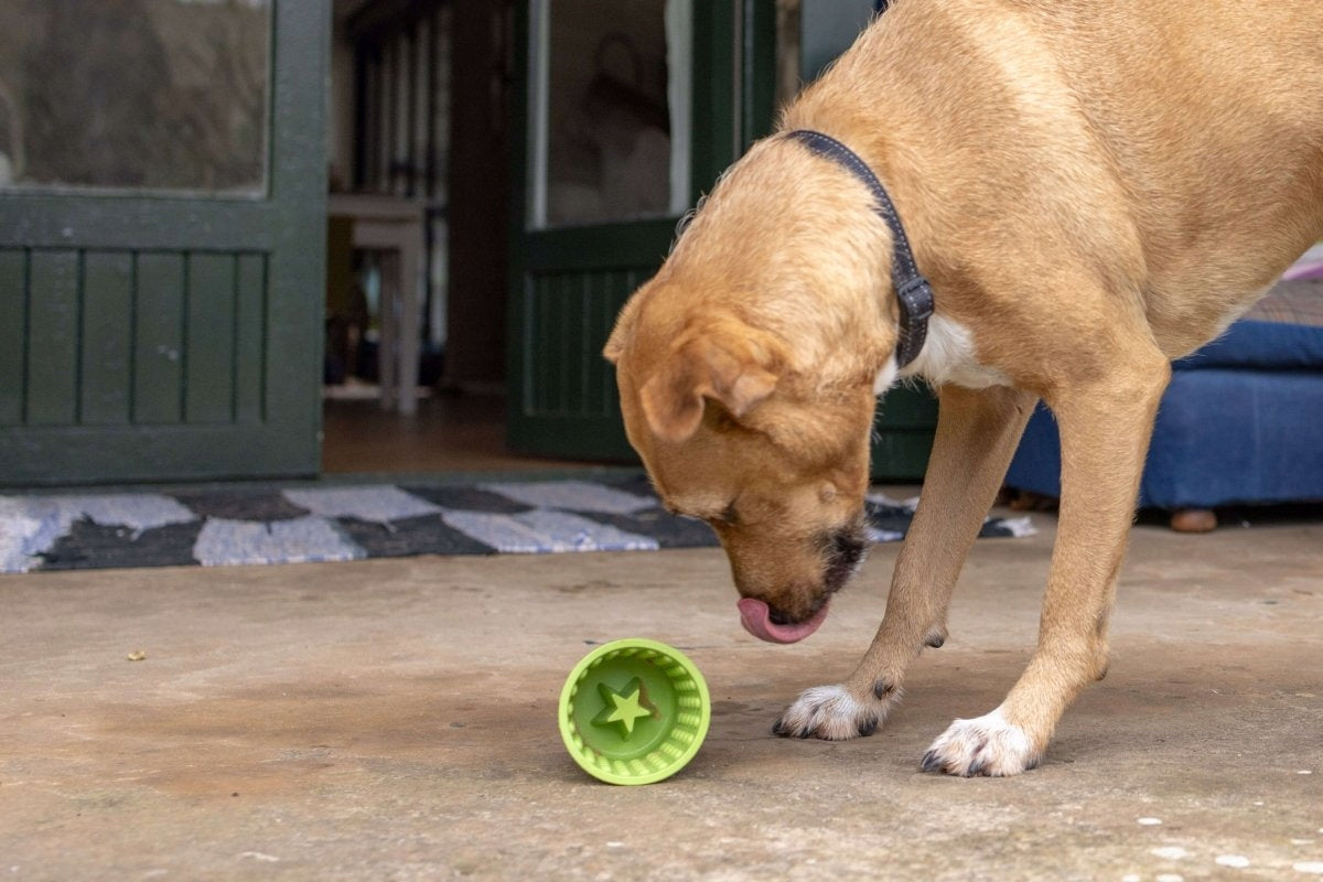 LICKING TRAY MAT FOR DOG CAT ANTI-STRESS LICKIMAT YOGGIE POT 9,5x9cm Material made from a synthetic material