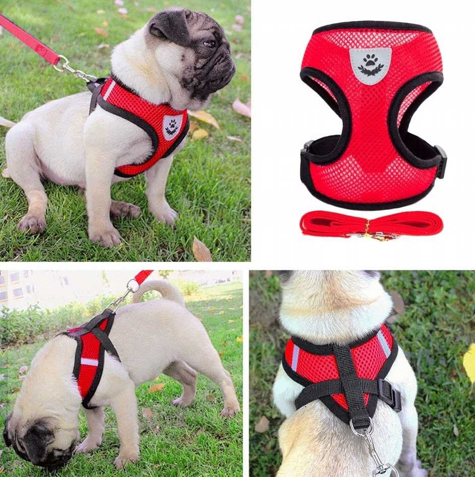 LIGHT RED HARNESS FOR SMALL CAT DOG + LEASH 120CM SIZE L Manufacturer code 5903839026089