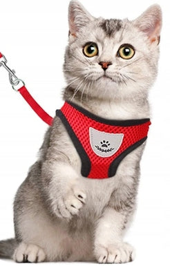 LIGHT RED HARNESS FOR SMALL CAT DOG + LEASH 120CM SIZE M Brand no brand