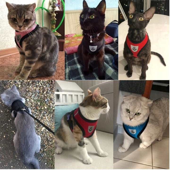 LIGHTWEIGHT ADJUSTABLE BLACK HARNESS FOR SMALL CAT DOG + LEASH 120CM SIZE M Kind walking harness
