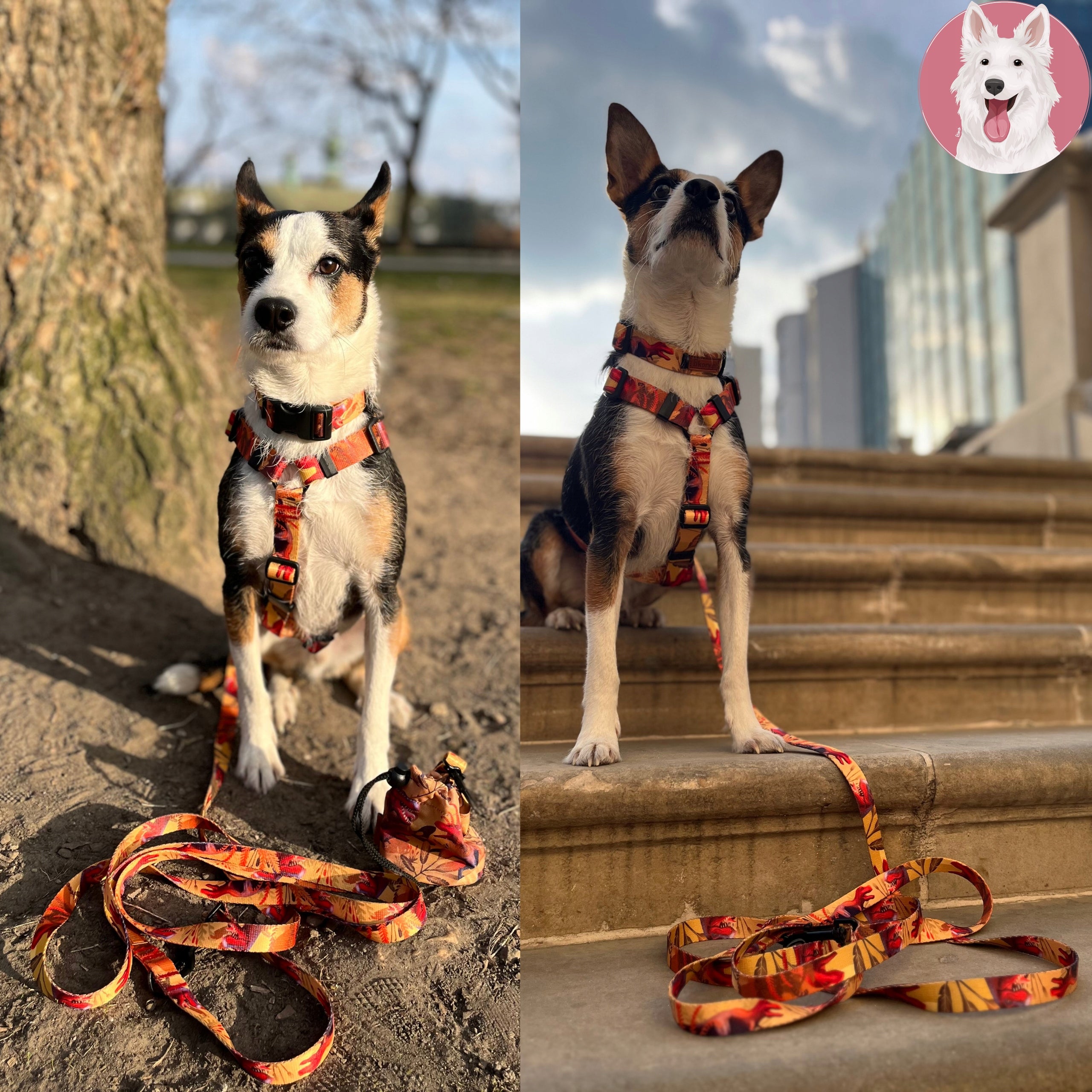 LIGHTWEIGHT pressure-free harness for big dog L 30 mm Ukory ORANGE dino Type adjustable