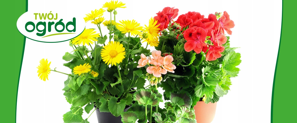 LIQUID FERTILIZER FOR FLOWERS OF FLOWERING PLANTS GARDEN BALCONY 900ml Form liquid