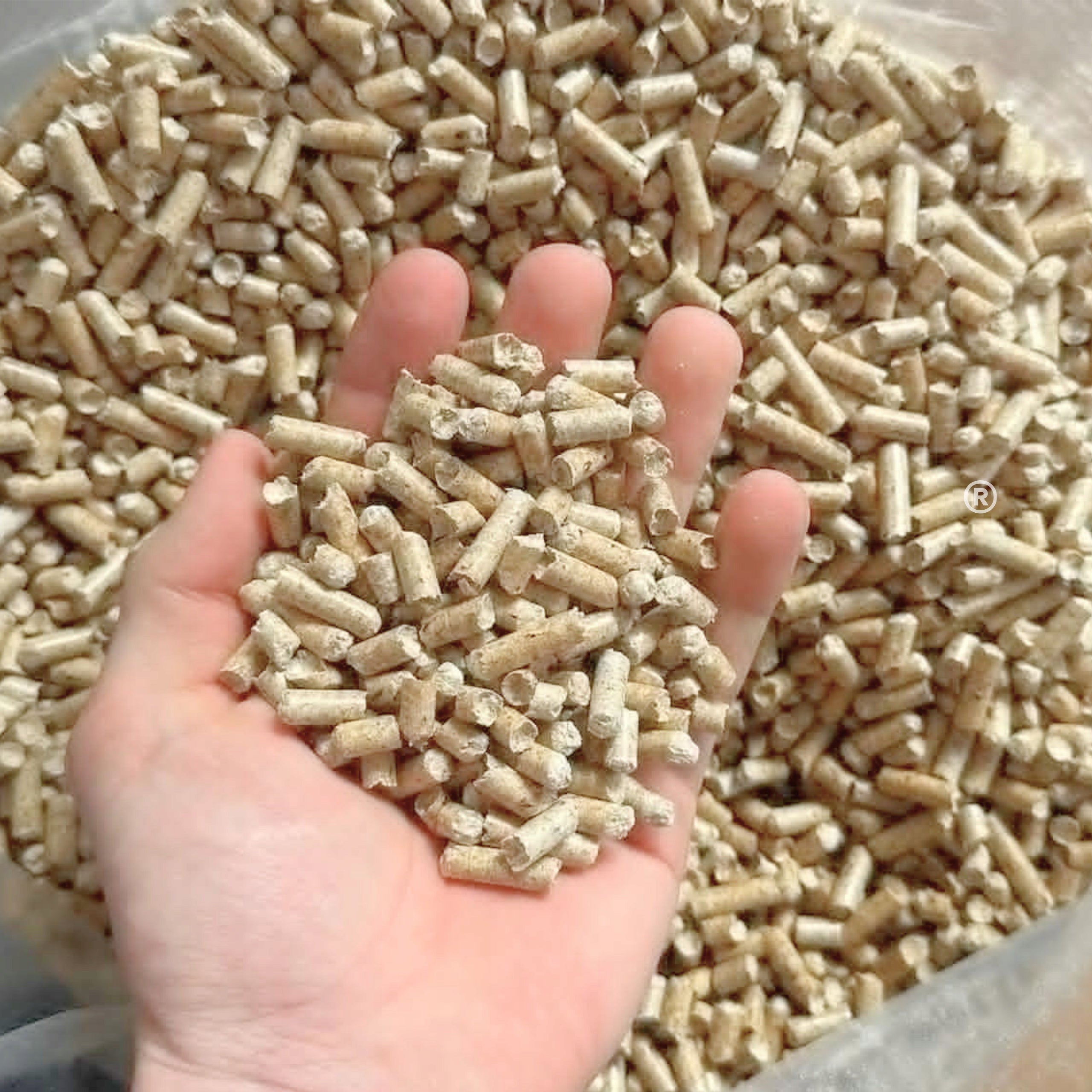 LITTER WOODEN PELLET FOR CAT RABBIT PIG ZOONEST 15KG LIGHT Packaging status original