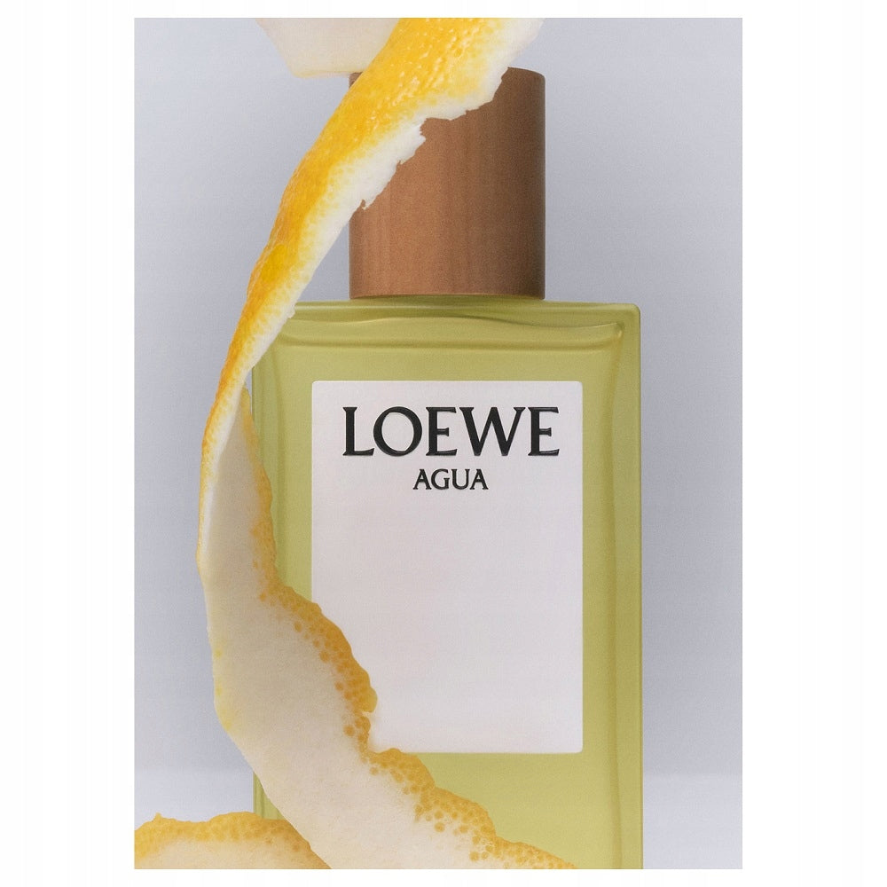 LOEWE Aqua EDT 100ml Brand Loewe